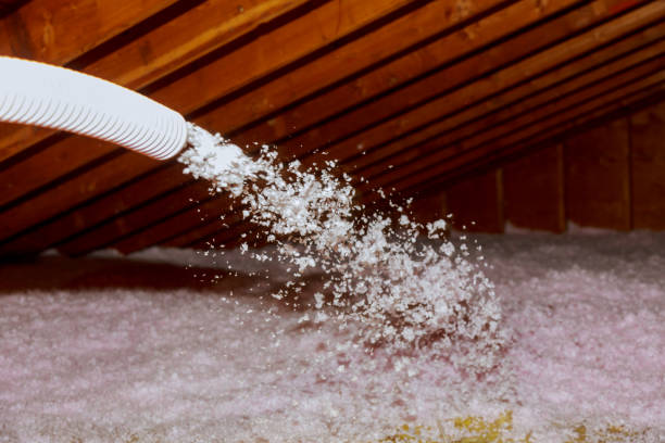 Best DIY Insulation Kits and Guidance in Mountain Lodge Park, NY
